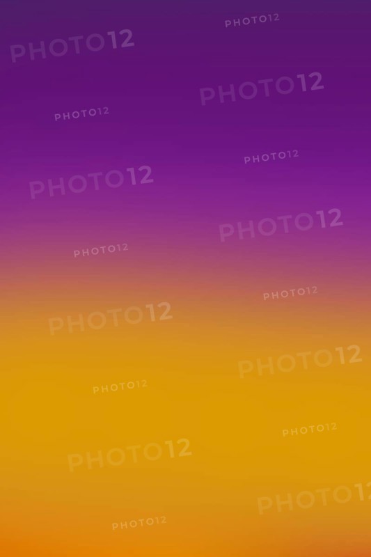 Vivid gradient colors