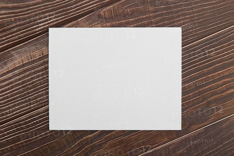 Flay lay blank brochure