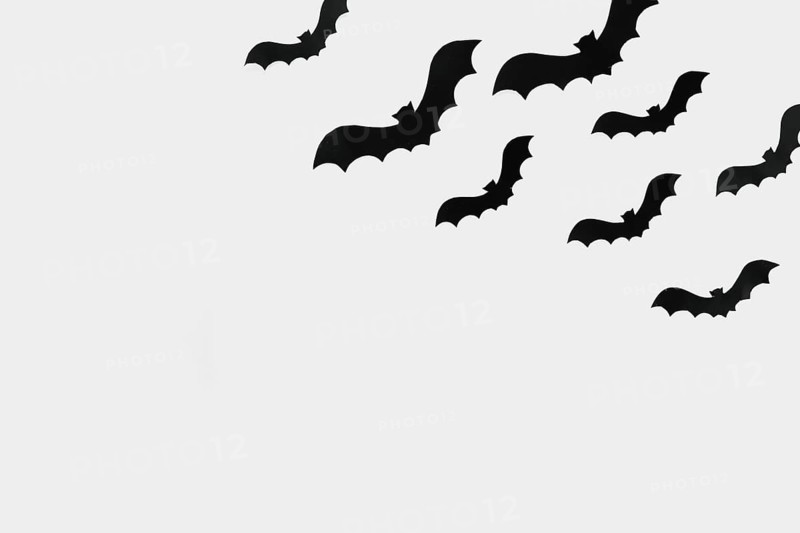Flying bats cut out paper