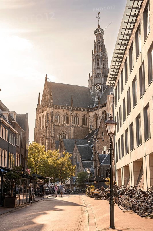Historic St. Bavokerk Church at sunset