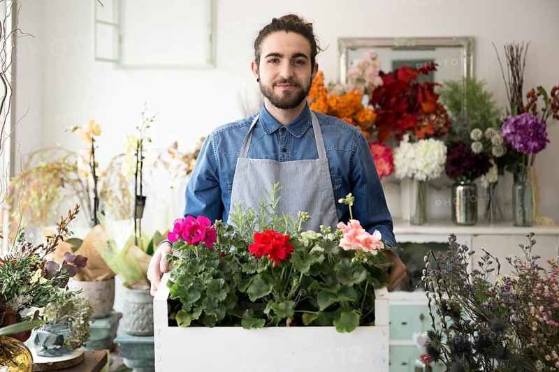 Portrait male florist holding colorful hydrangea flowers crate