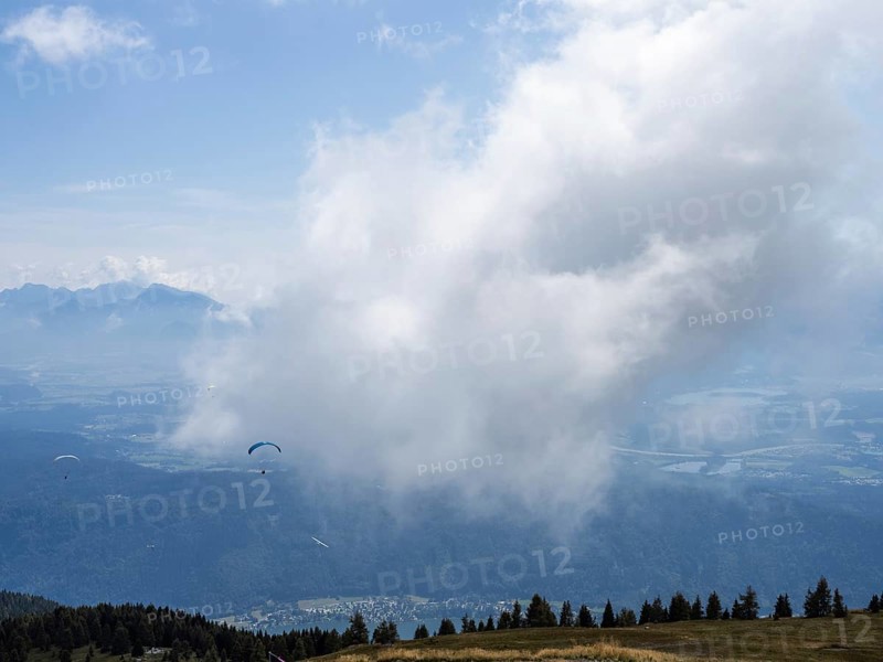 Paraglider