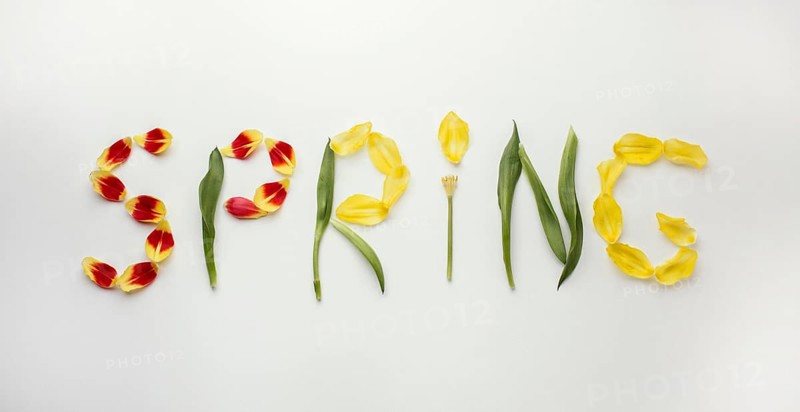 Spring word flowers petals