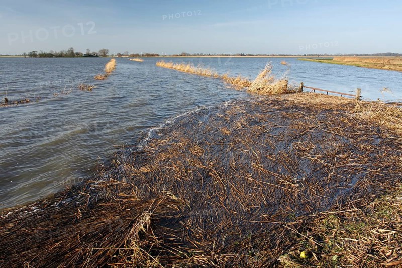 Flooded meadow after a storm surge on the Lower Weser island of Strohauser Plate