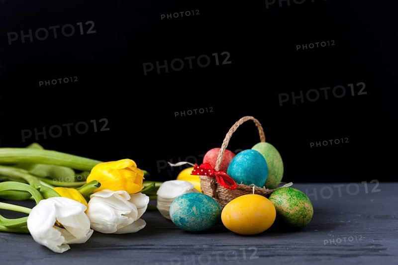 Tulips eggs black