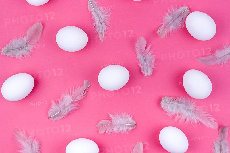 White chicken eggs with feathers table