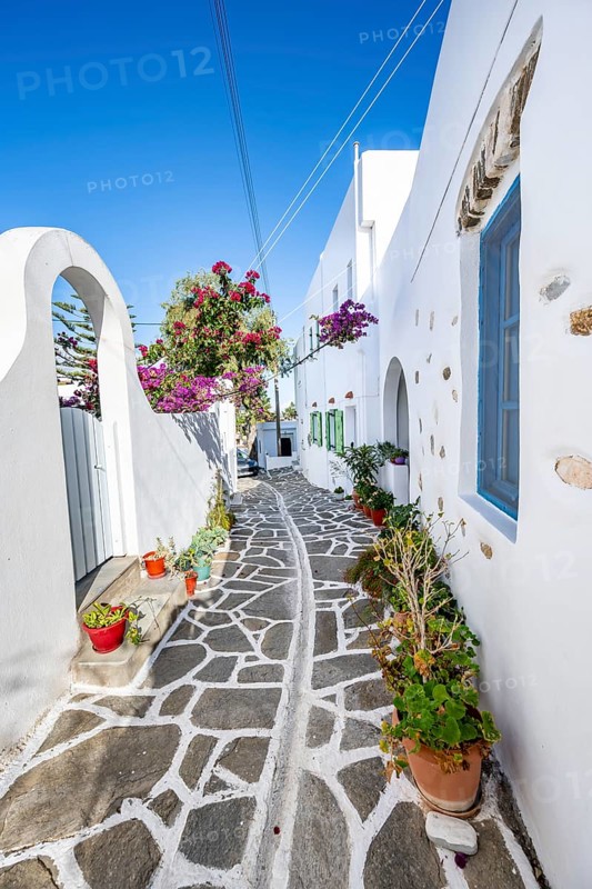 White Cycladic houses with flower pots and purple bougainvillea