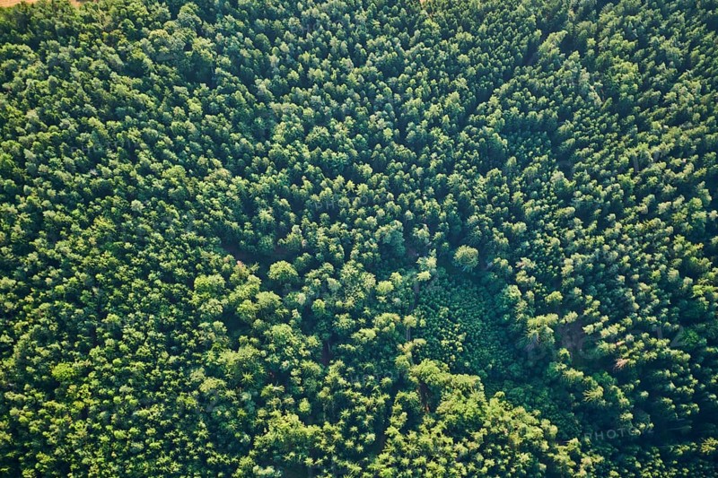Aerial view over the forests near Woerth an der Donau