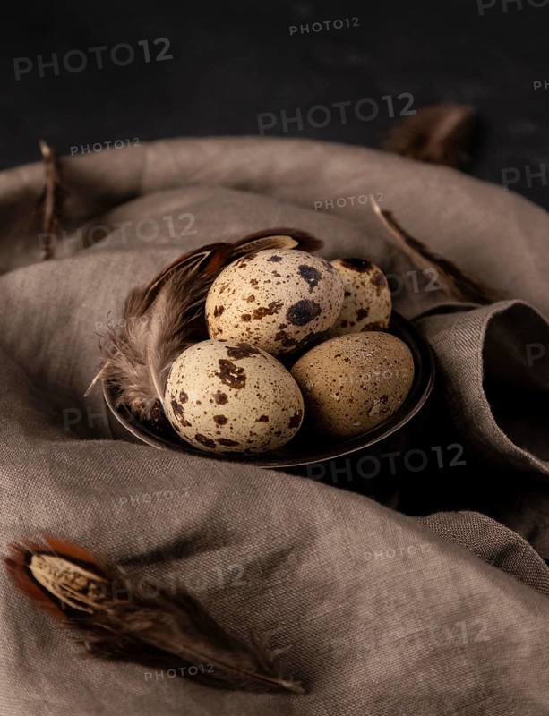 High angle quail eggs bowl with feathers