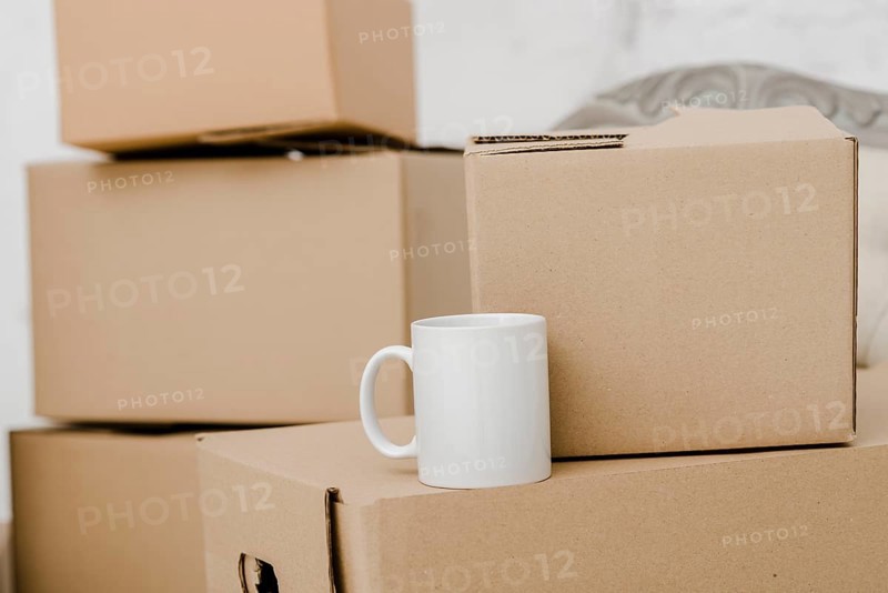 Mug carton boxes