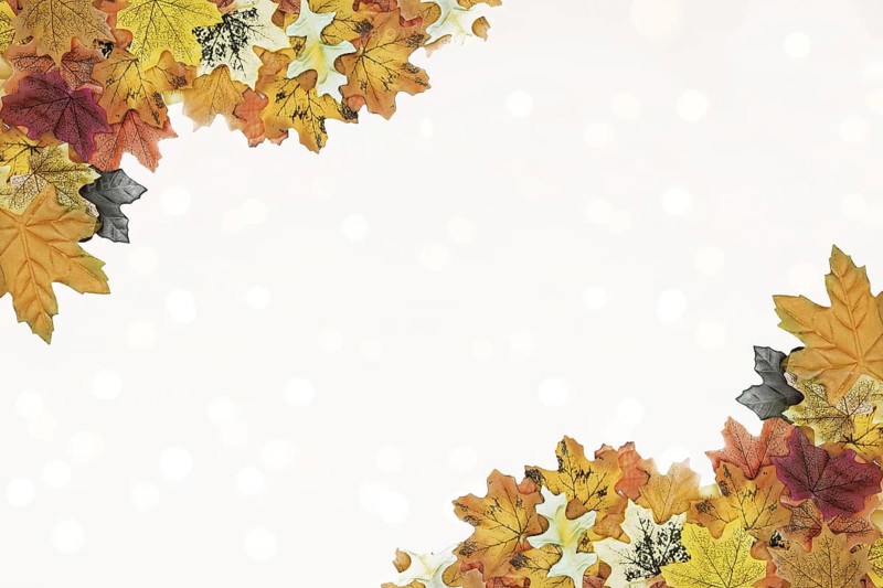 Autumn leaves corner frame pattern