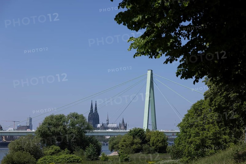 Rhine Bridge