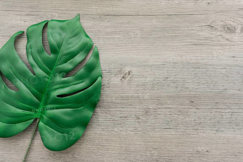 Wooden background with big green leaf