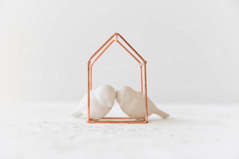 Two white lovebirds metal house