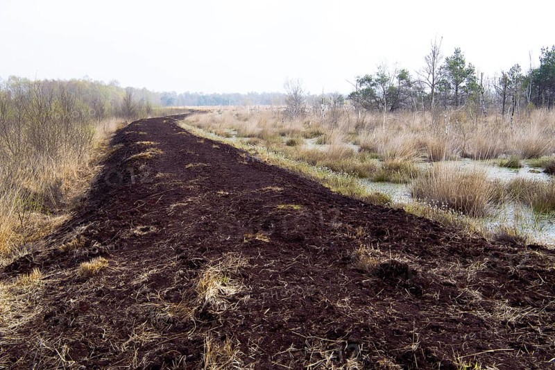 Moor protection through rewetting