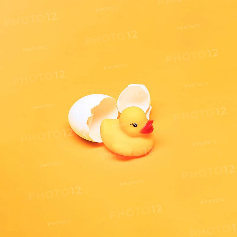Yellow still life bath duck egg