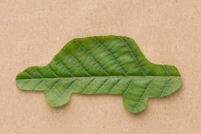 Car leaf shape