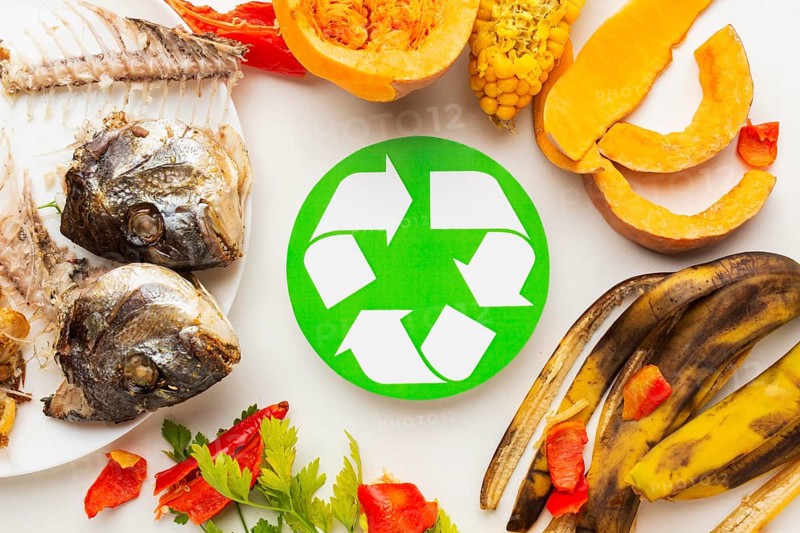 Cooked fish leftovers other leftover food recycle symbol