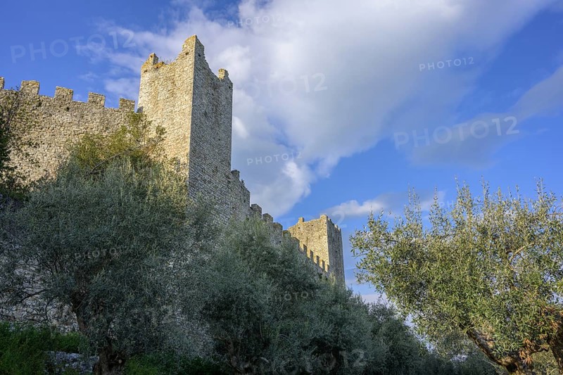 Ancient olive trees and city wall of