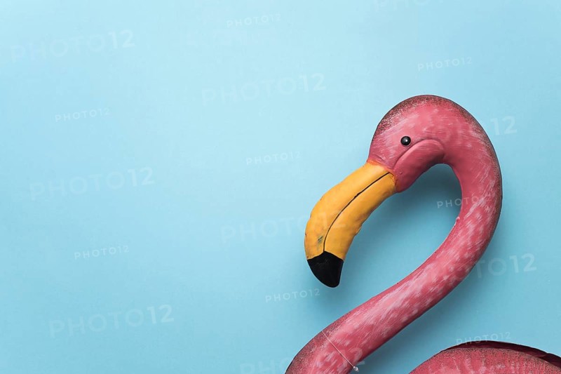 Pink plastic flamingo