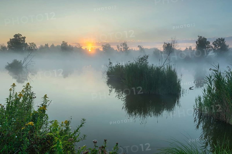 Moorland lake