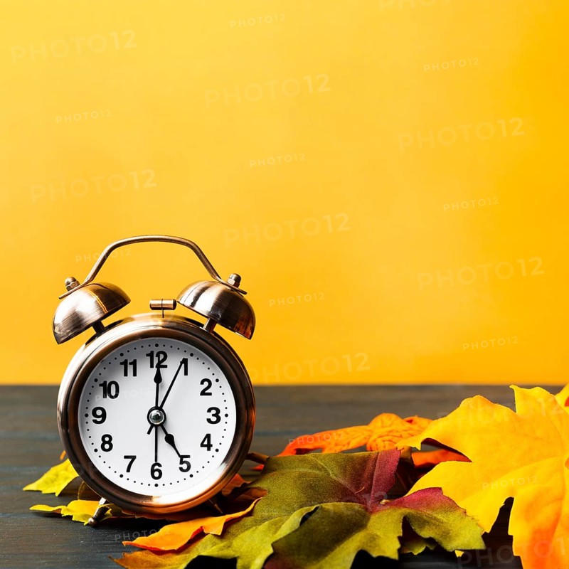 Front view autumn decoration with yellow background