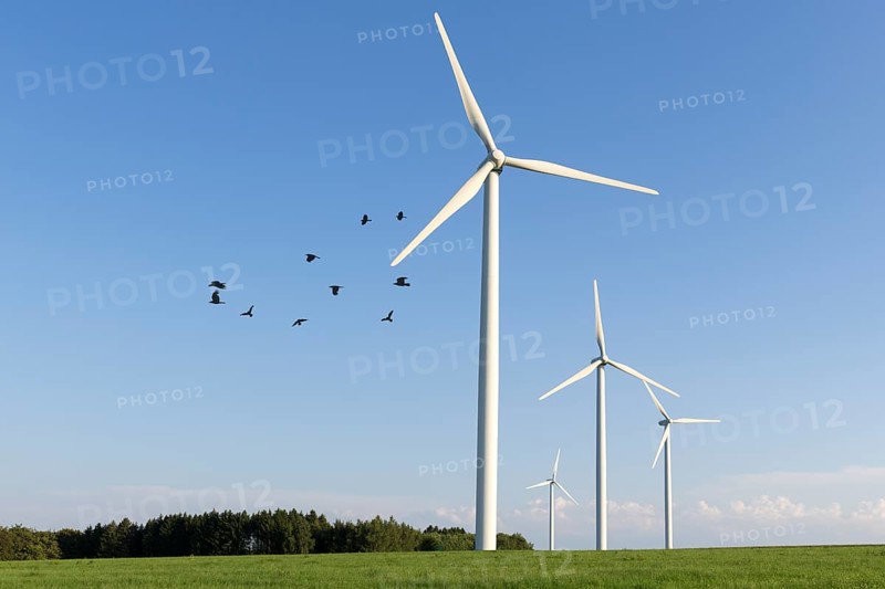 Wind turbine