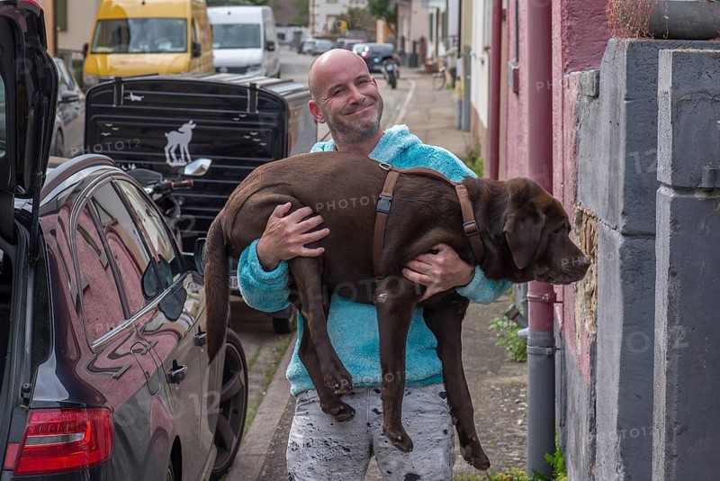Young man carries his sick dog to the car
