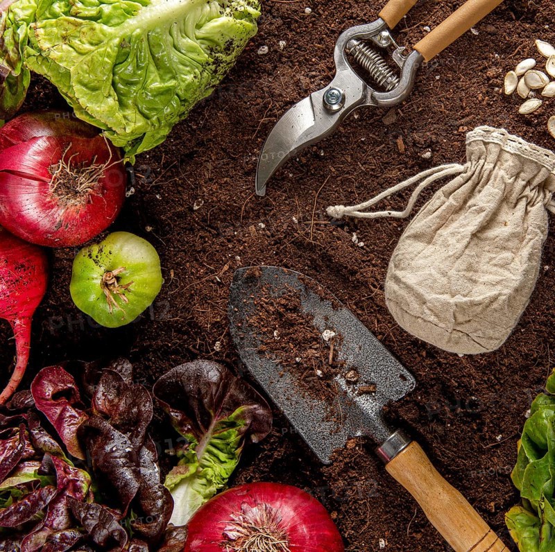 Top view garden tool with veggies