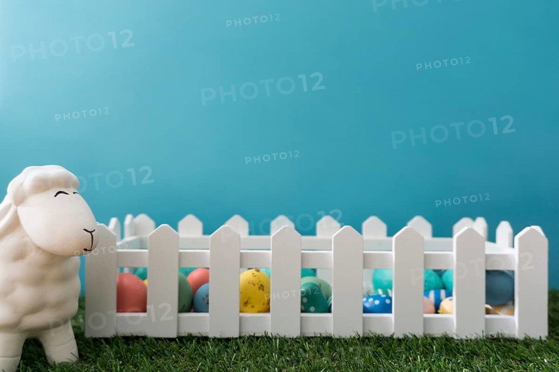 Easter background with sheep wooden fence