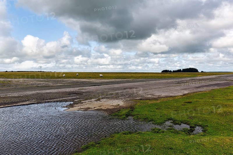 Road leads across high moor