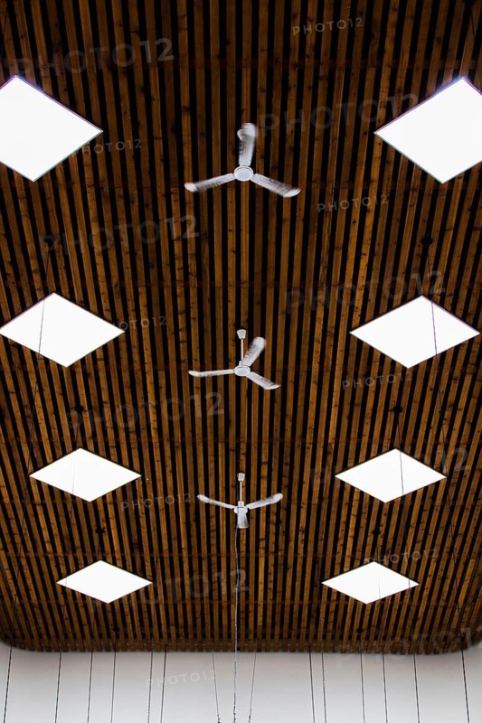 View ceiling with small fans