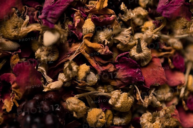 Close up collection aromatic flowers