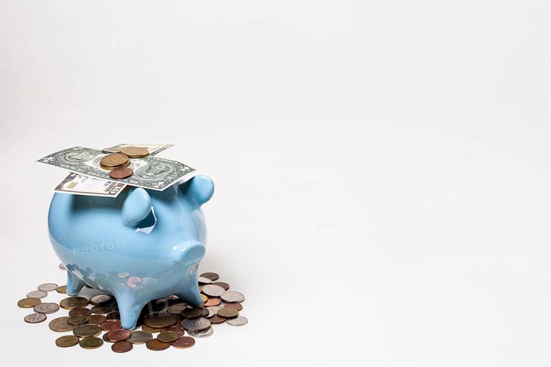 Blue piggy bank with money coins