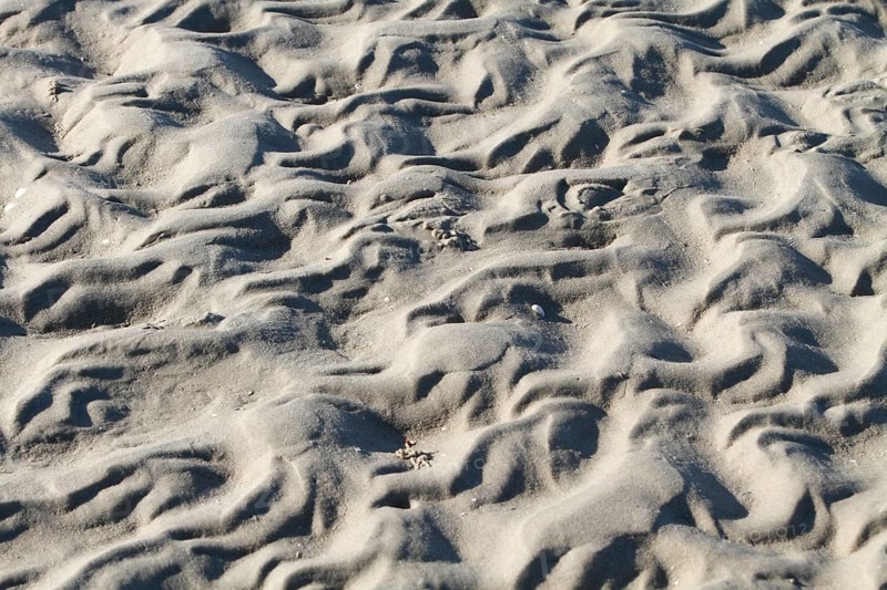 Ripple marks in the mudflats off Minsener Oog Island