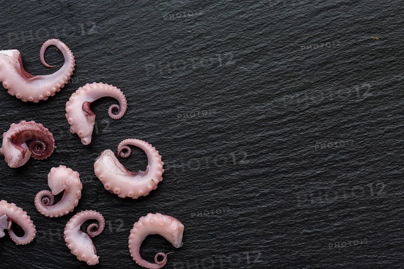 Top view small pieces octopus