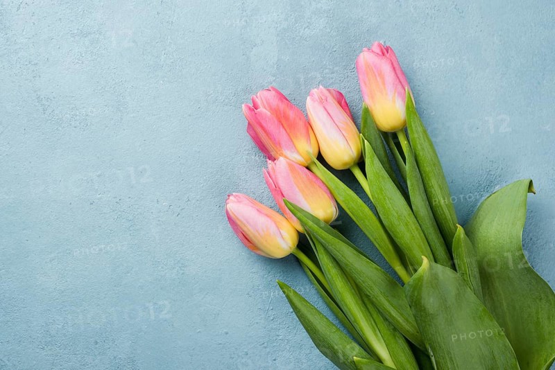 Copy space tulips bouquet table