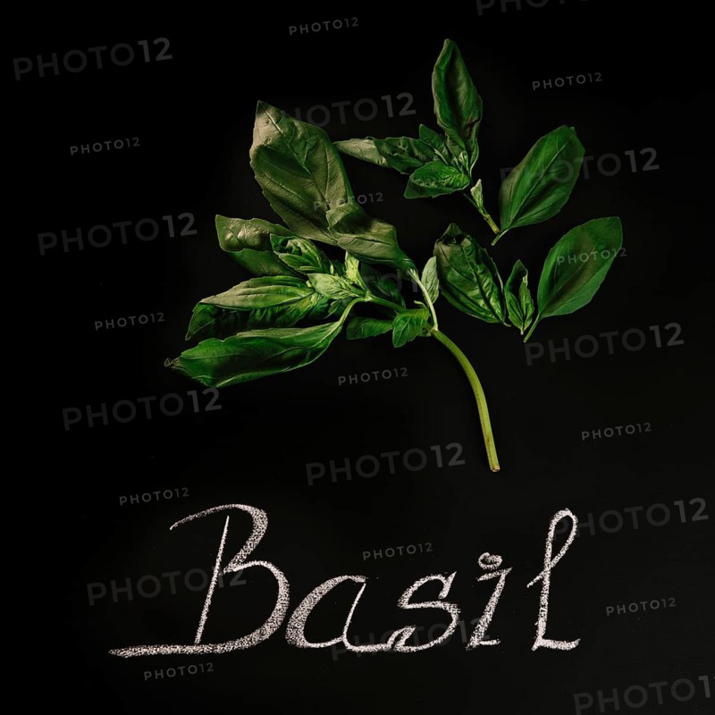 Close up basil writing