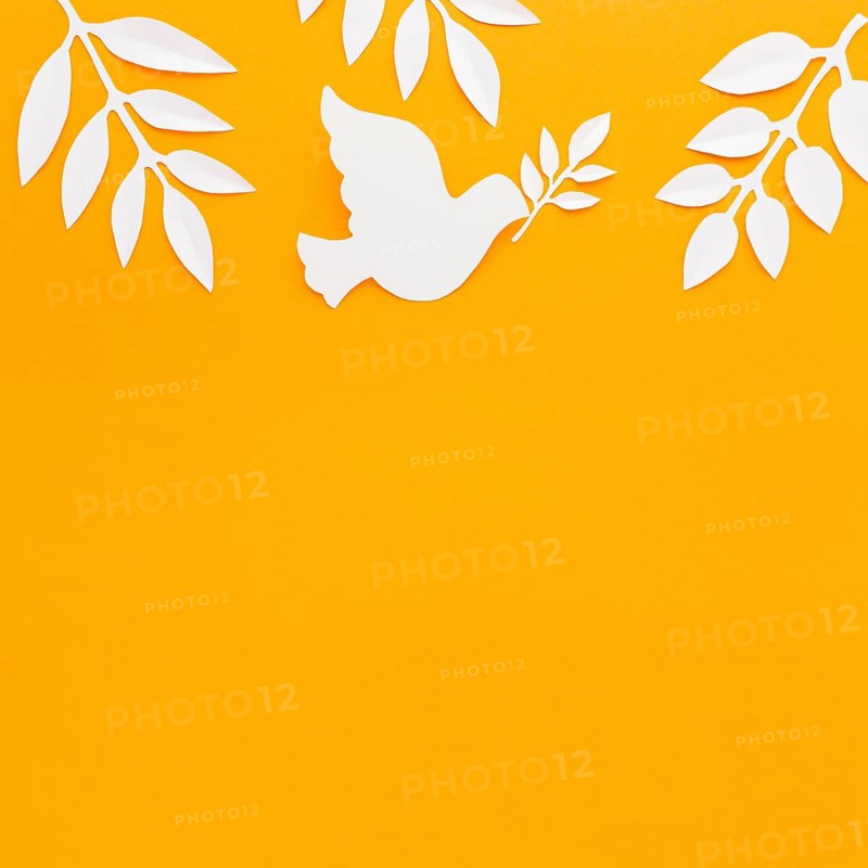 Top view paper dove with copy space paper leaves