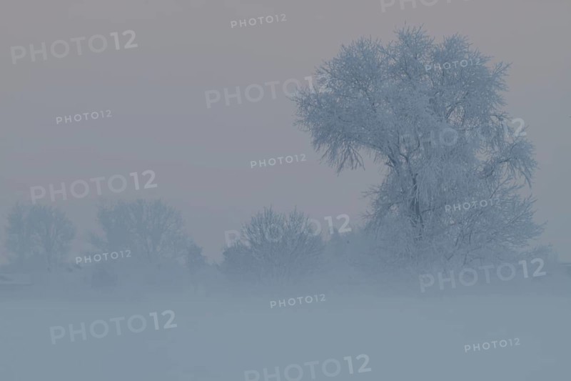 Foggy atmosphere with hoarfrost on the Weser island of Strohauser Plate