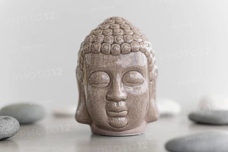 Front view buddha head statue