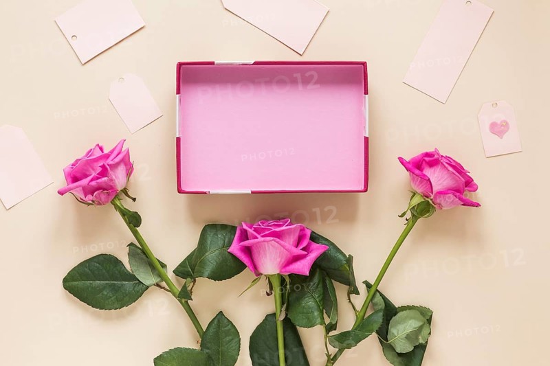 Pink rose flowers with empty box table