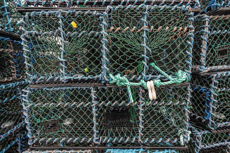Lobster cages