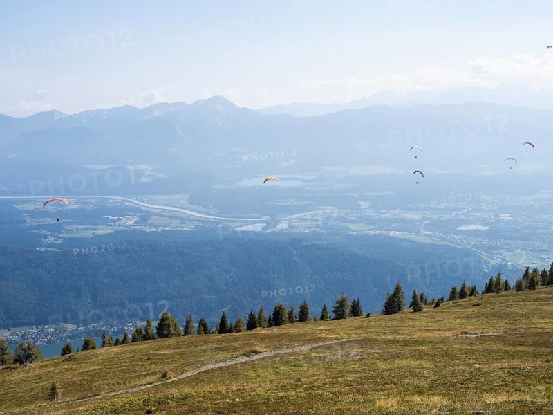 Paraglider
