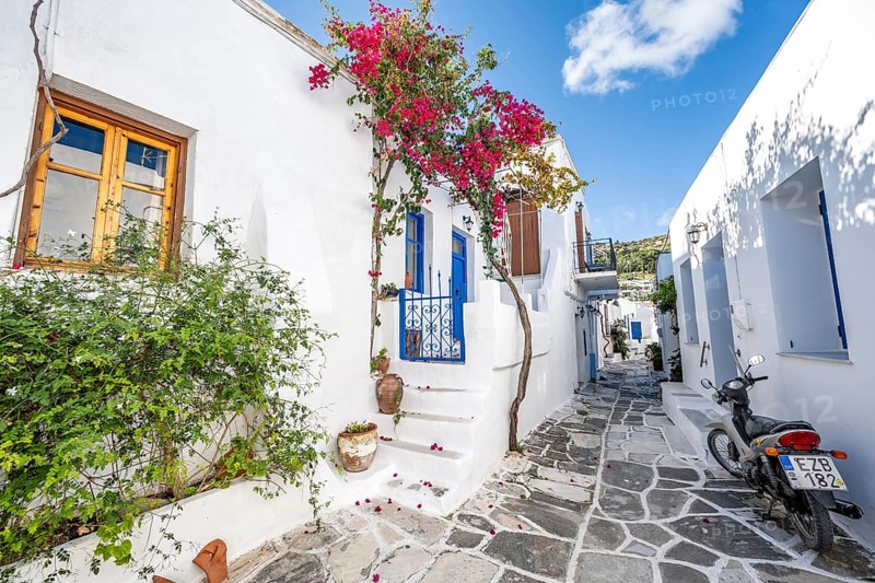 White Cycladic houses with blue doors and windows and flower pots with red bougainvillea
