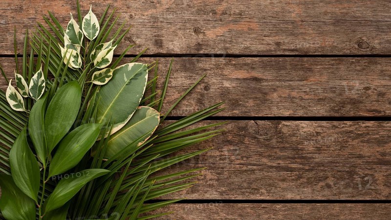 Top view beautiful plant leaves wooden surface