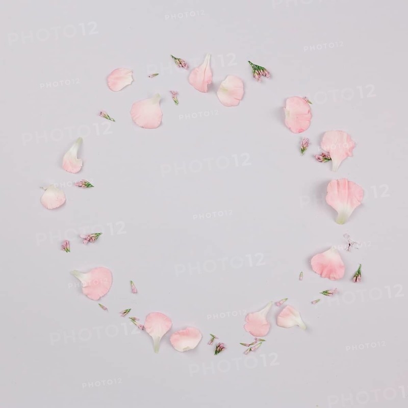 Circular frame made with petals isolated white background