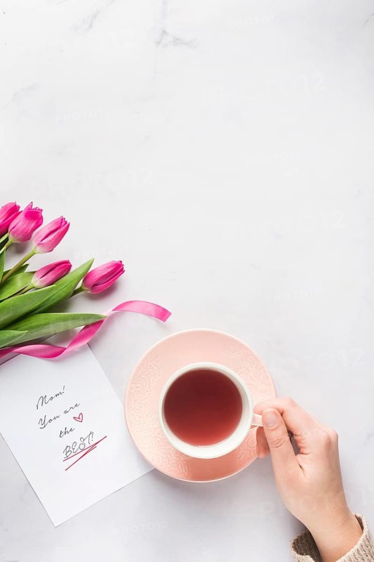 Hand holding tea mug copy space