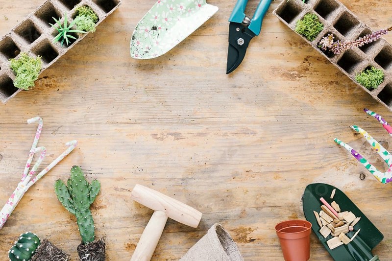 Gardening equipments peat tray plastic pot wooden backdrop