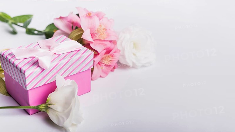 Roses pink lily flowers with gift box white background